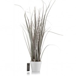 Roślina Sztuczna - Trawa Szroniona Aluro