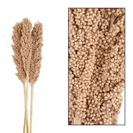 Suszony Wianek Belldeco