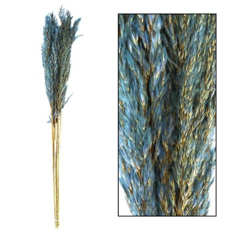 Suszona Trawa Pampasowa Belldeco Fuksja