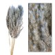 Suszona Trawa Pampasowa Belldeco Ochra