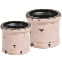 Donica Belldeco Rose B