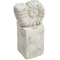 Postument Belldeco z Muszlą