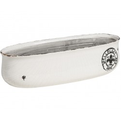 Korytko Belldeco Roma Jasne