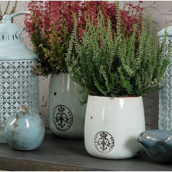 Osłonki Ceramiczne Roma B