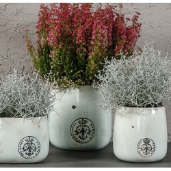 Osłonki Ceramiczne Roma A