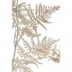 Sztuczny Asparagus Kremowy Aluro