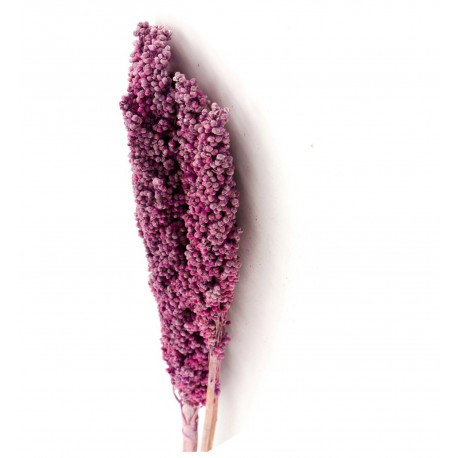 Suszone Gałązki Belldeco Indian Corn Pink 3szt.