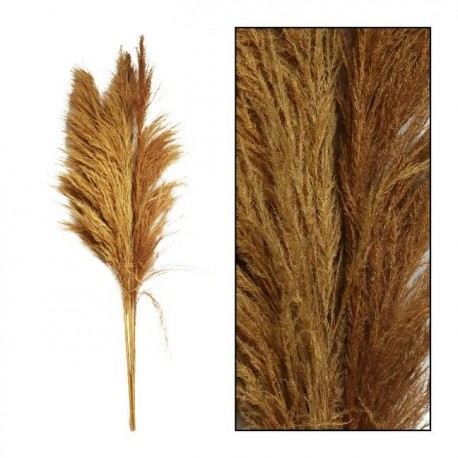 Suszona Trawa Pampasowa Belldeco Peru Natural 5szt.