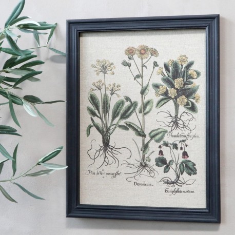 Obraz z Roślinami i Łacińskimi Podpisami Chic Antique A