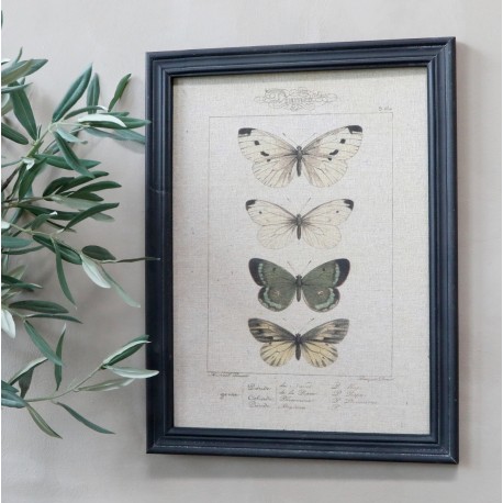 Obraz z Roślinami i Łacińskimi Podpisami Chic Antique A