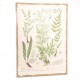 Obraz w Stylu Prowansalskim Na Jucie z Roślinami B