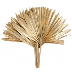 Suszony Liść Palmy