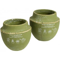 Donice Belldeco Enjoy 1B