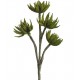 Sztuczne Kwiaty Belldeco Zielone 3