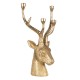 Złoty Świecznik Jeleń A