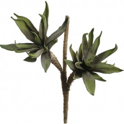 Sztuczne Kwiaty Belldeco Zielone 4C