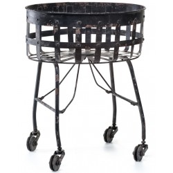 Kwietnik Aluro Bertoni