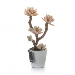 Sztuczny Kaktus w Doniczce Aluro C