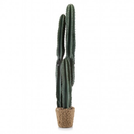 Sztuczny Kaktus w Doniczce Aluro A