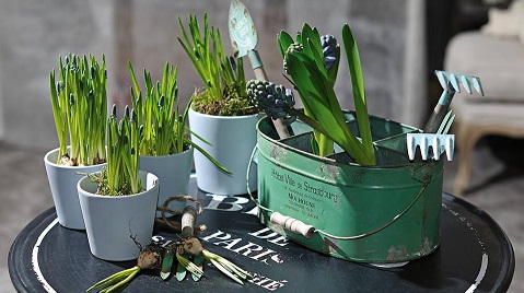 Prowansalskie dekoracje